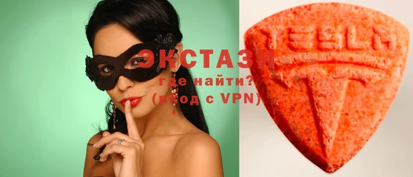ECSTASY Ельня