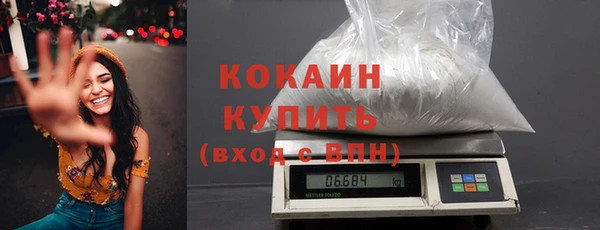 ECSTASY Ельня