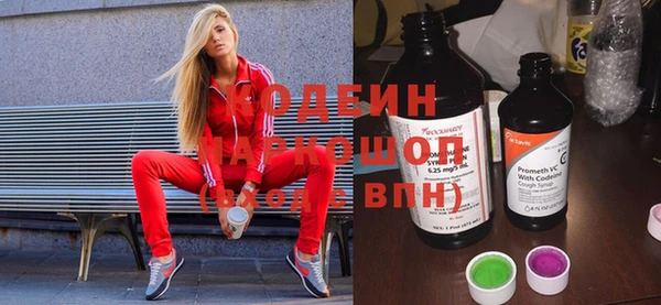 ECSTASY Ельня