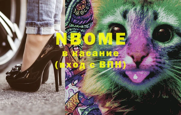 ECSTASY Ельня