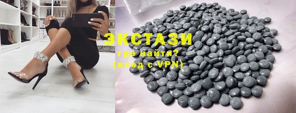 ECSTASY Ельня