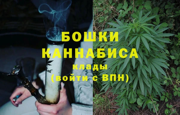 бошки Елизово